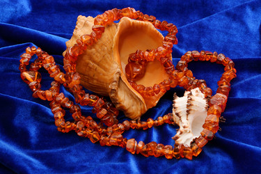 Similar image 21247217