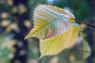 Similar image 21204780