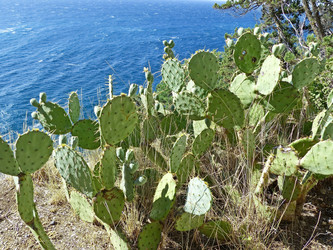 Similar image 21239657