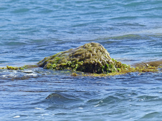 Similar image 21241043