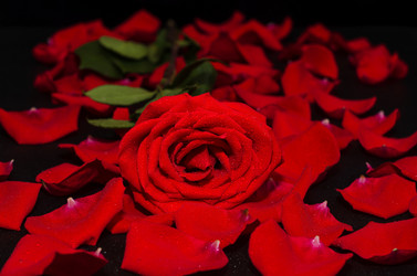 Similar image 21204815