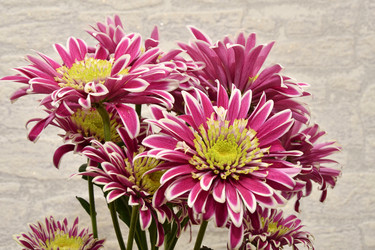 Similar image 21225693