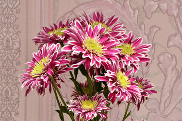 Similar image 21225696