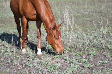 Similar image 21225700