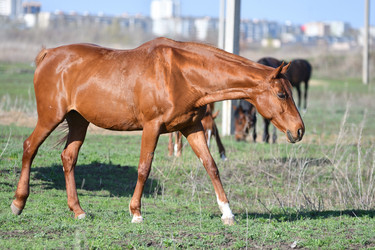 Similar image 21225701