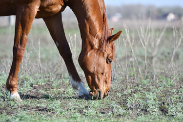 Similar image 21225703