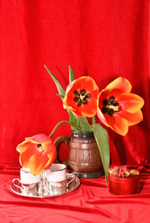 Similar image 21225704