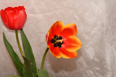 Similar image 21225705