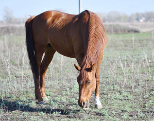 Similar image 21225706