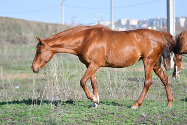 Similar image 21225707