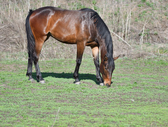 Similar image 21225708