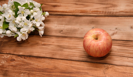 Similar image 21225709