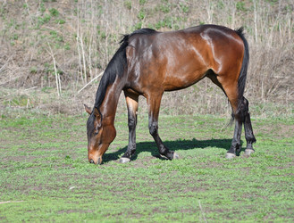 Similar image 21225710