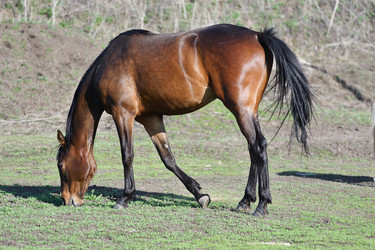 Similar image 21225712