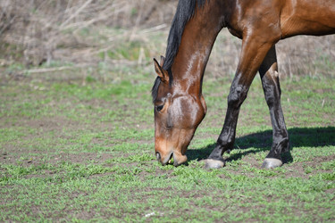 Similar image 21225714