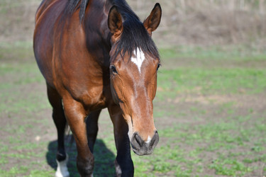 Similar image 21225715