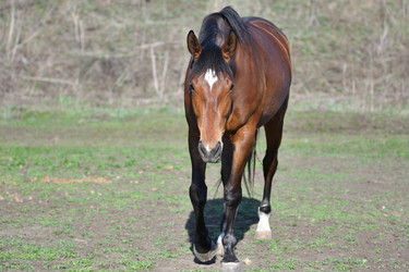 Similar image 21225716