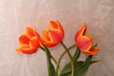 Similar image 21234870