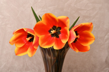 Similar image 21246884