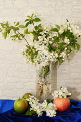 Similar image 21246892