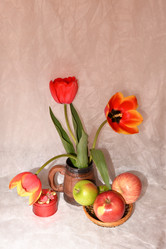 Similar image 21246917