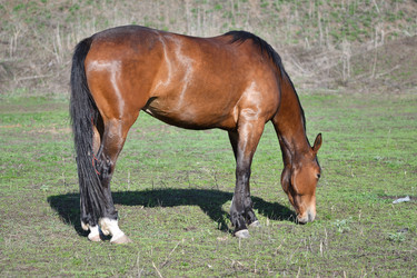 Similar image 21246995