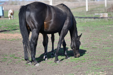 Similar image 21246996