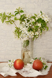 Similar image 21246998