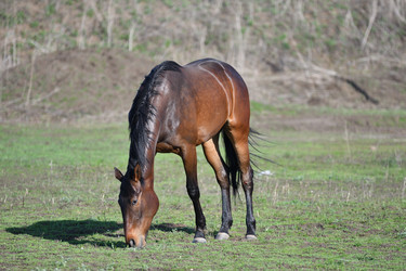 Similar image 21246999