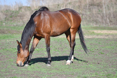 Similar image 21247000