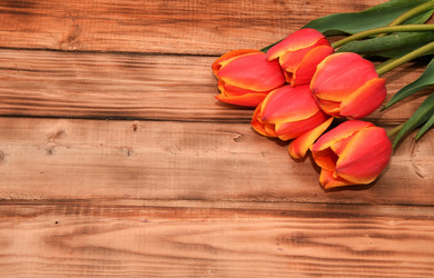 Similar image 21247034