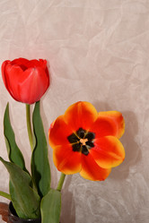 Similar image 21247035