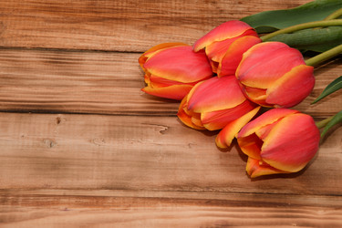 Similar image 21247036