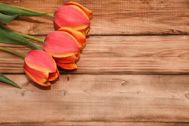 Similar image 21247037