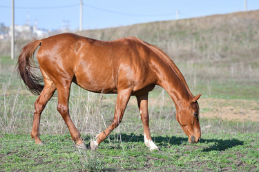 Similar image 21247039