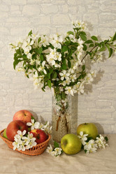 Similar image 21247097