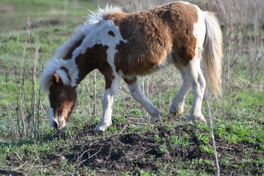 Similar image 21247098