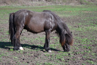 Similar image 21247099