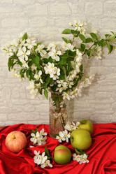 Similar image 21247101