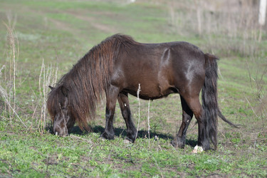 Similar image 21247105