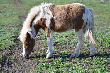 Similar image 21247107