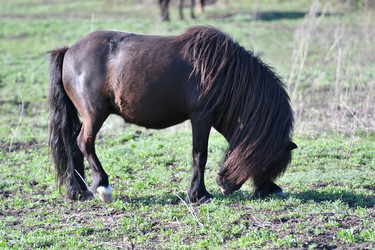 Similar image 21247108