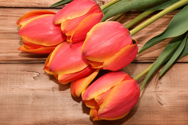 Similar image 21247109