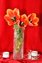 Similar image 21247112