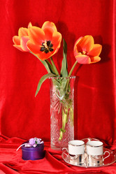 Similar image 21247114