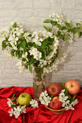 Similar image 21247116