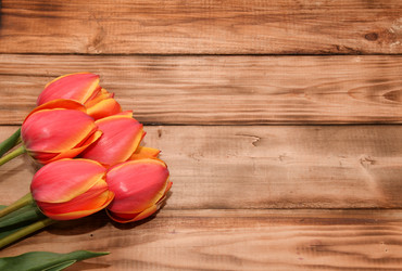 Similar image 21247118