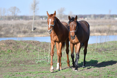 Similar image 21247123