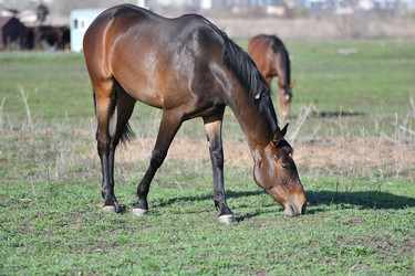 Similar image 21247125