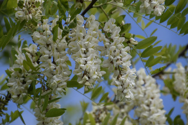 Similar image 21234902